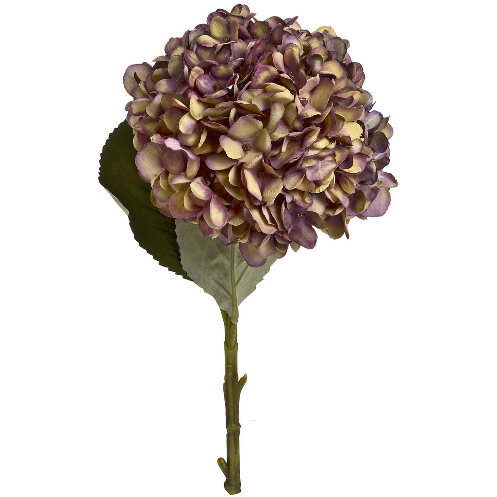 Autumn Burgundy Hydrangea – alternate view 2