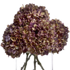 Autumn Burgundy Hydrangea – alternate view 4