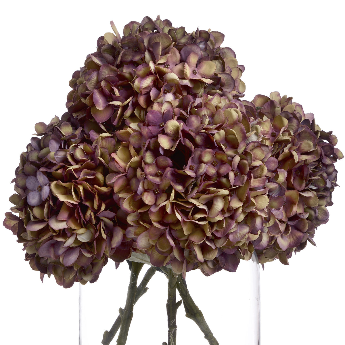 Autumn Burgundy Hydrangea – alternate view 4
