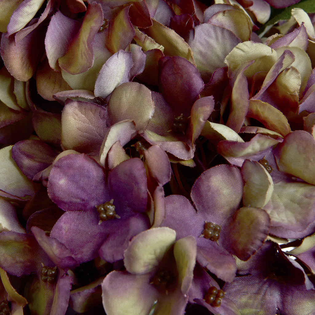 Autumn Burgundy Hydrangea – alternate view 5