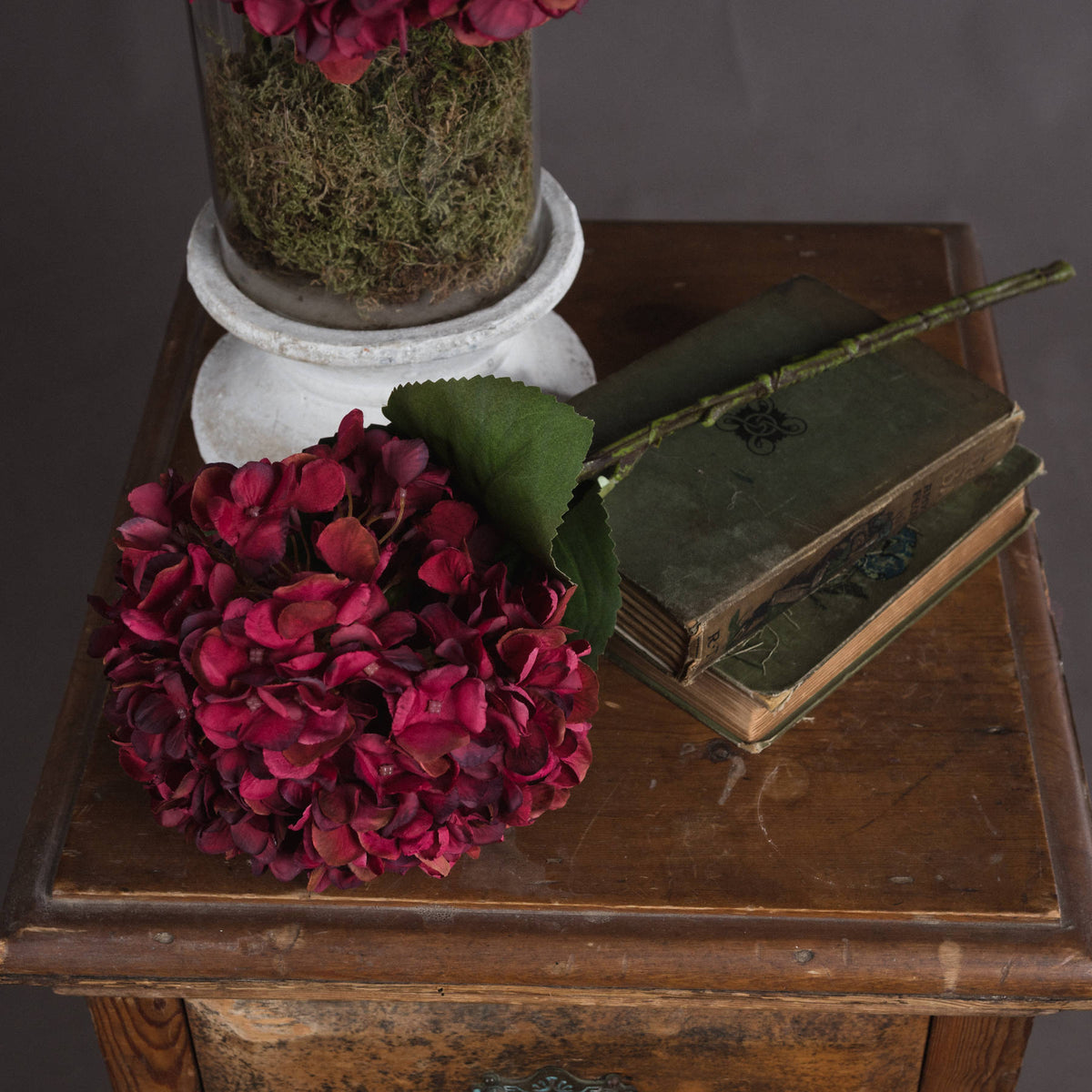 Autumn Ruby Hydrangea – alternate view 2