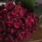Autumn Ruby Hydrangea – alternate view 3