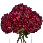 Autumn Ruby Hydrangea – alternate view 4