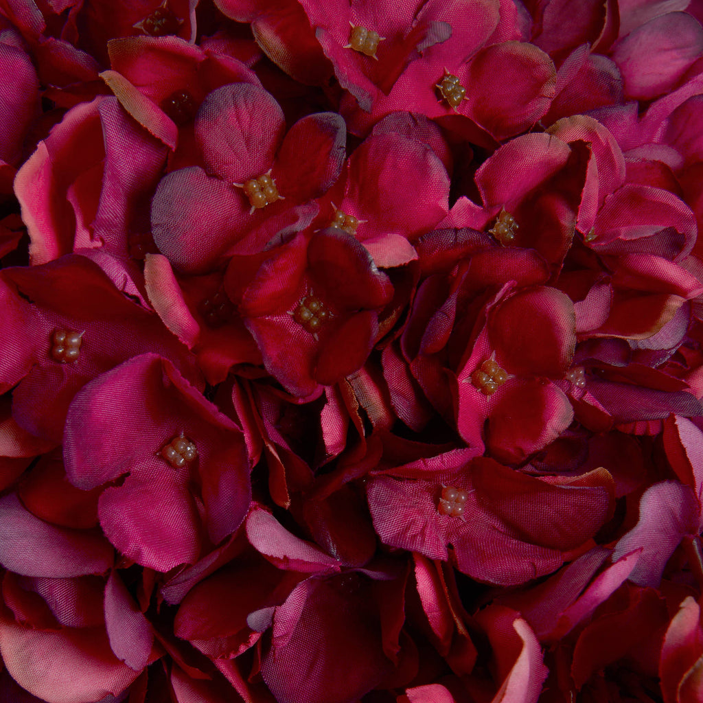 Autumn Ruby Hydrangea – alternate view 5