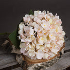 Autumn White Hydrangea – alternate view 3