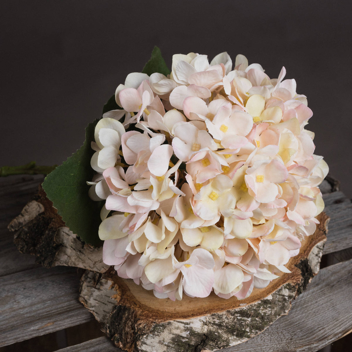 Autumn White Hydrangea – alternate view 3