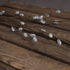 Pussy Willow Branch – alternate view 3
