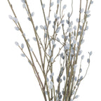 Pussy Willow Branch – alternate view 5