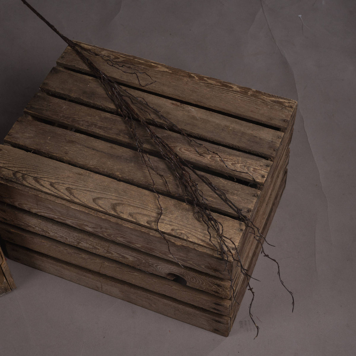 Branch Spray – alternate view 2