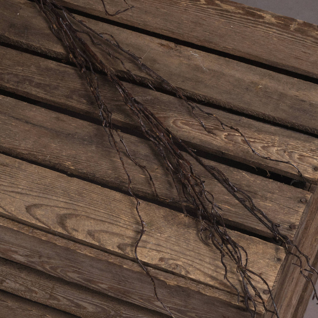 Branch Spray – alternate view 3