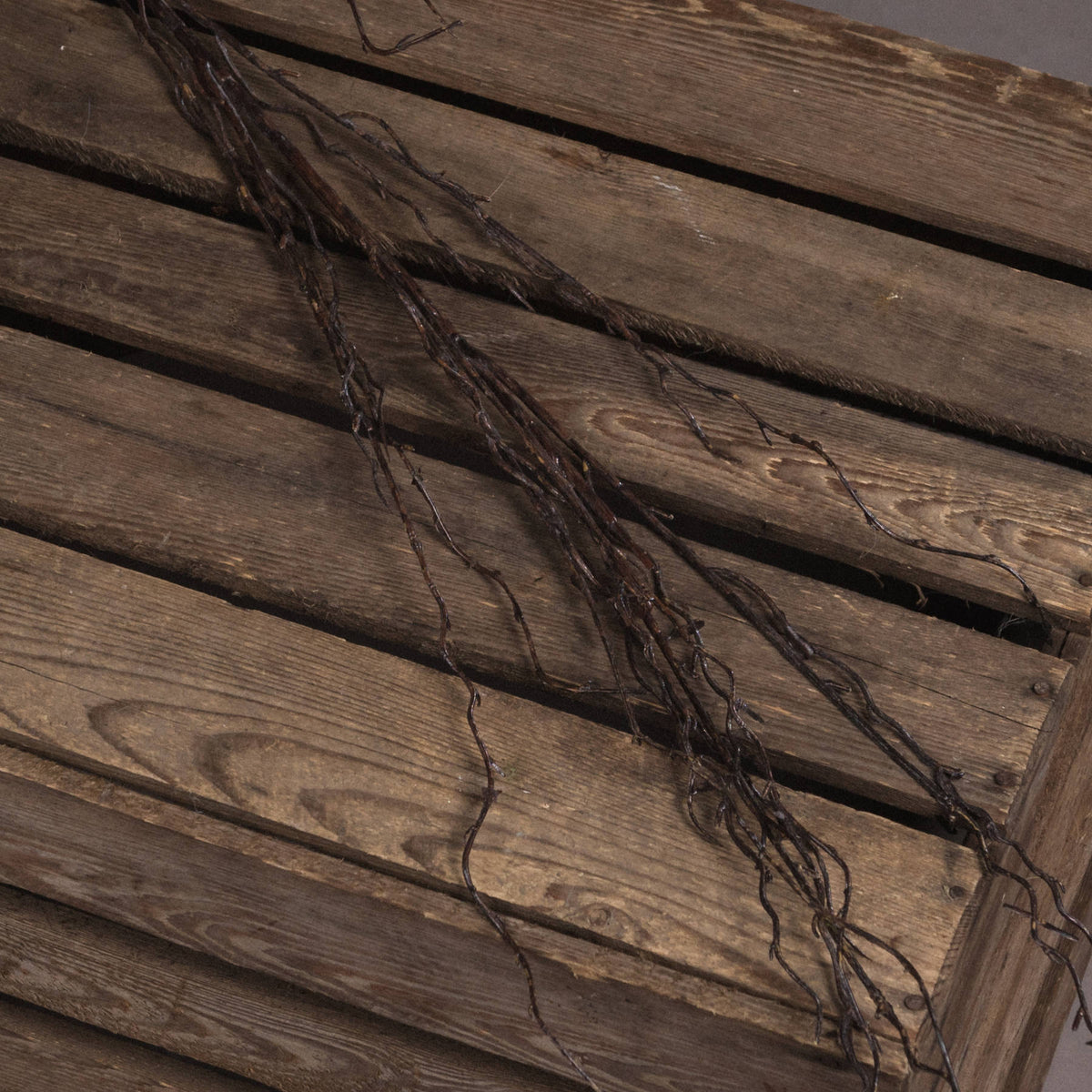 Branch Spray – alternate view 3