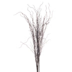 Branch Spray – alternate view 4
