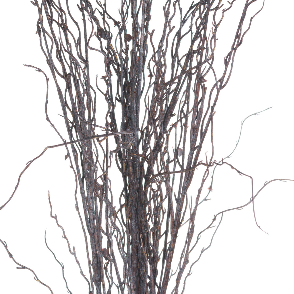 Branch Spray – alternate view 5