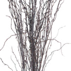 Branch Spray – alternate view 5