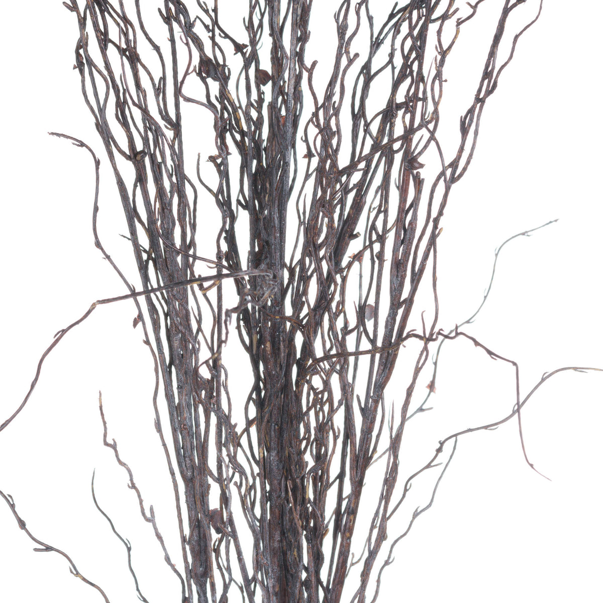 Branch Spray – alternate view 5