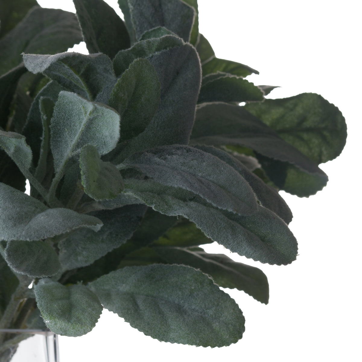 Lambs Ear Spray – alternate view 4