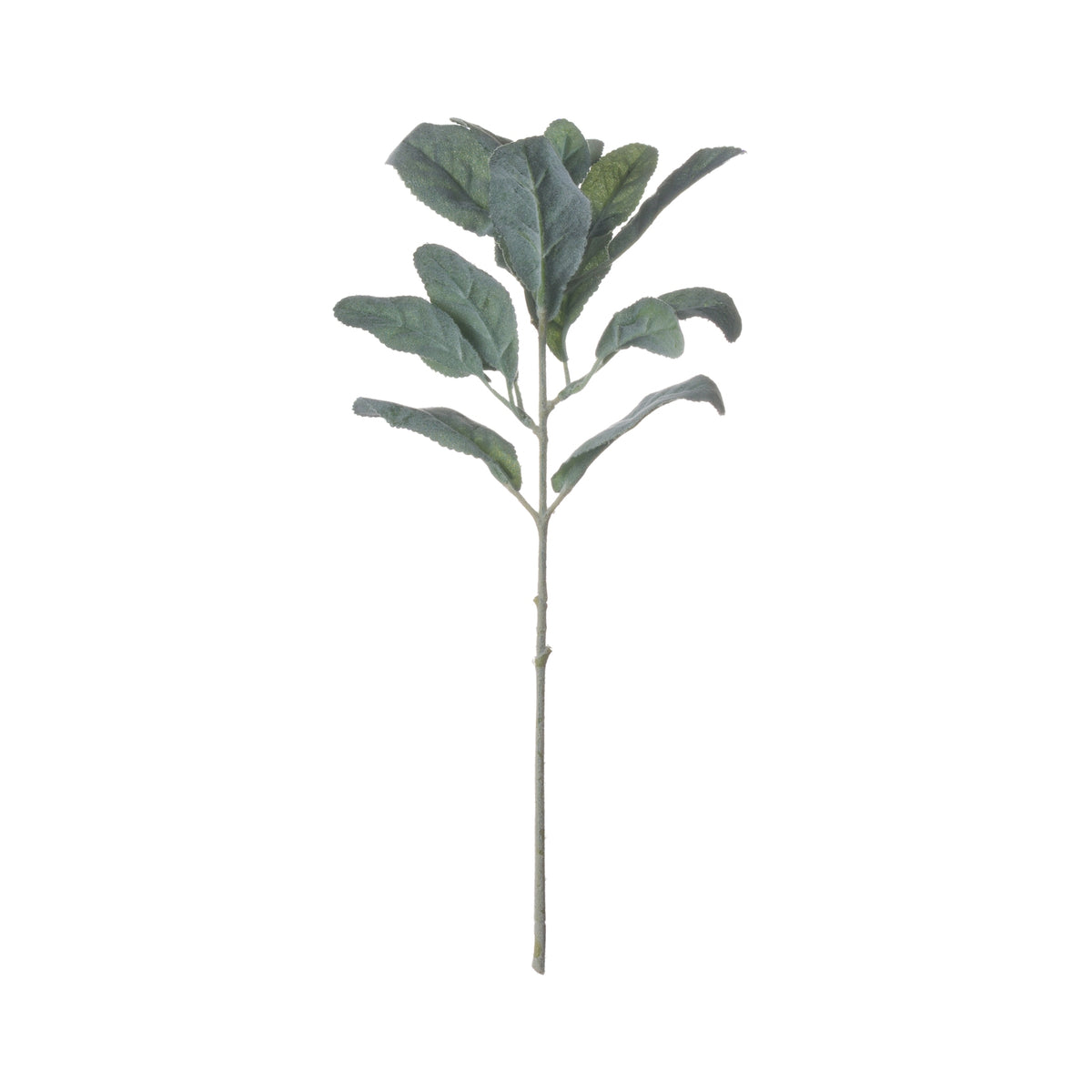 Lambs Ear Spray – alternate view 5