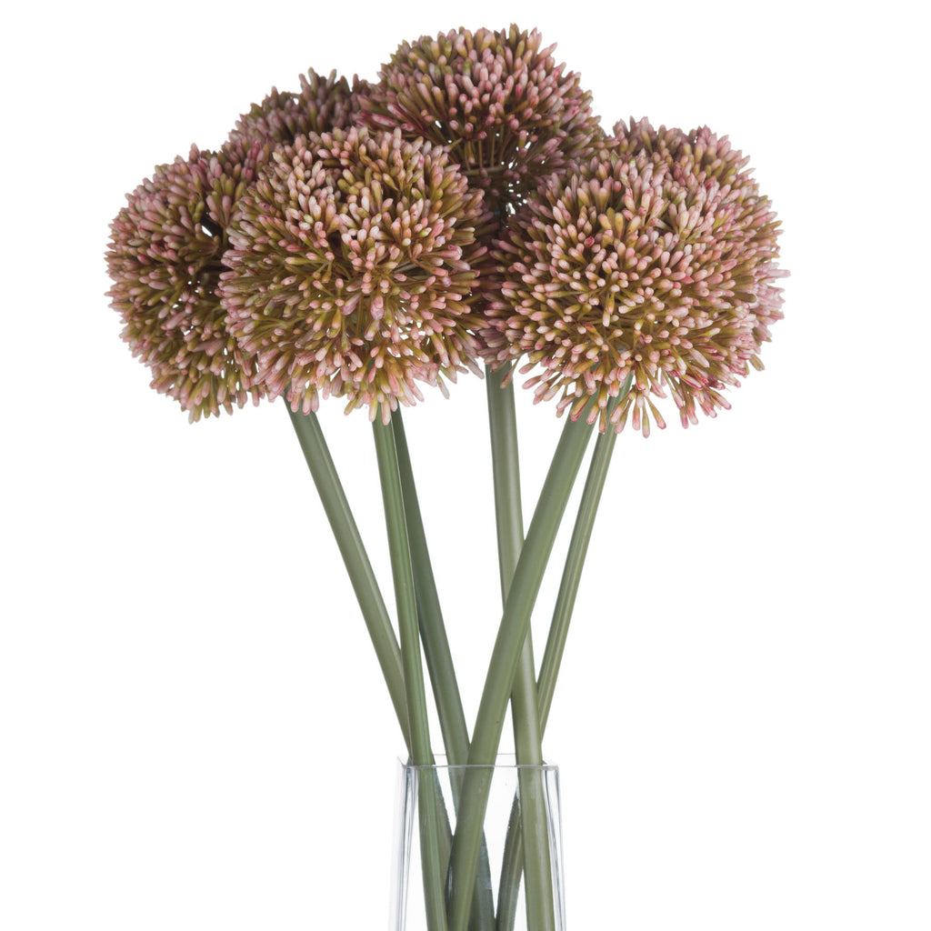Pink Allium – alternate view 4