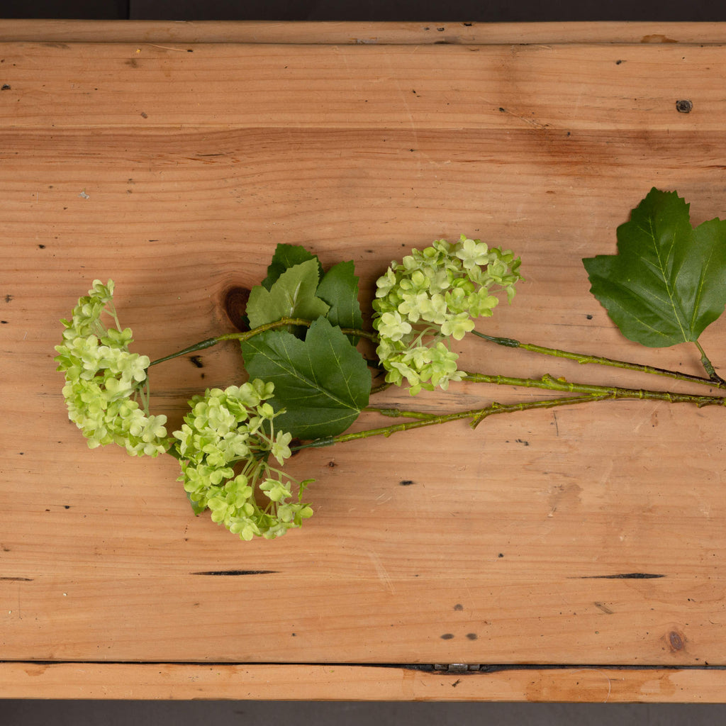 Green Viburnum Spray – alternate view 2