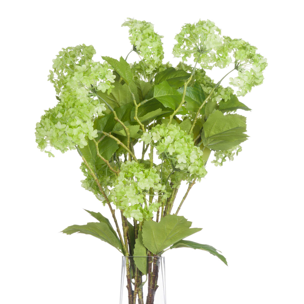 Green Viburnum Spray – alternate view 3