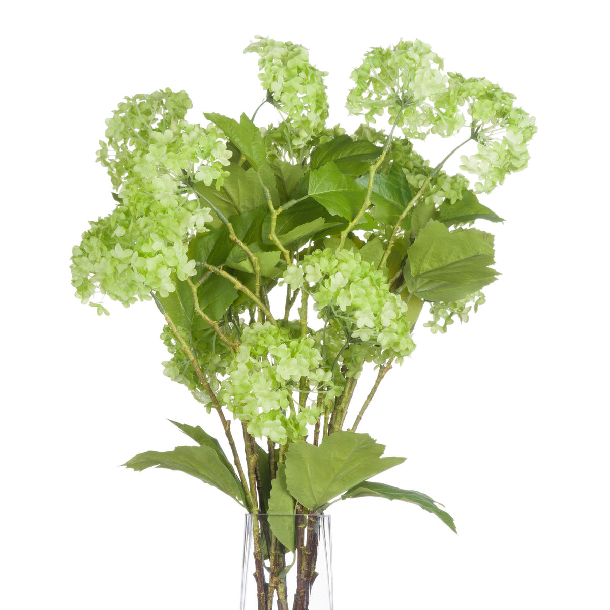 Green Viburnum Spray – alternate view 3