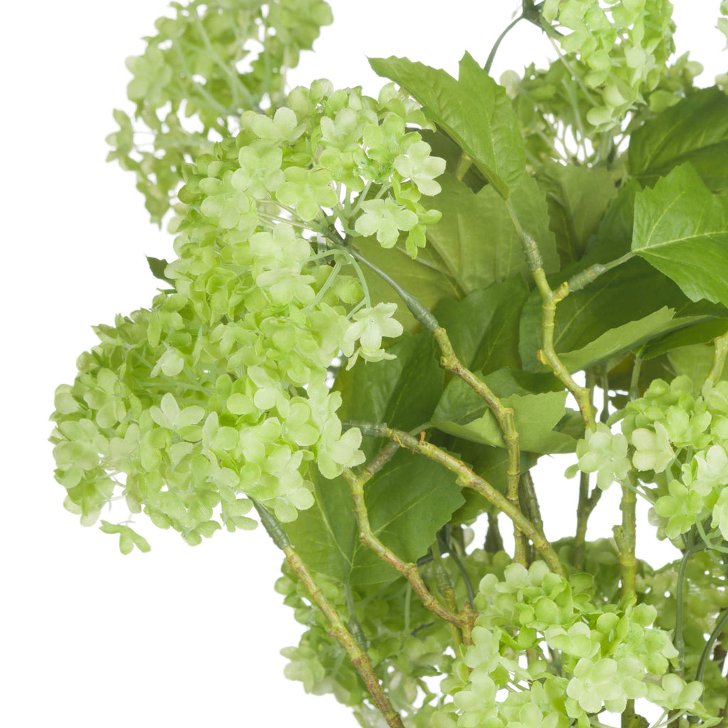 Green Viburnum Spray – alternate view 5