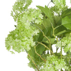 Green Viburnum Spray – alternate view 5