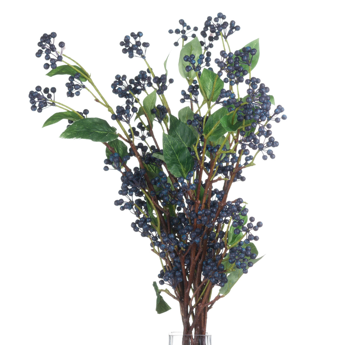 Viburnum Berry – alternate view 3