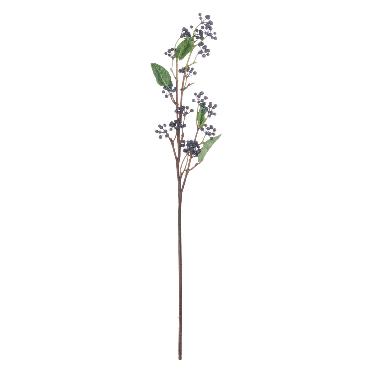 Viburnum Berry – alternate view 5