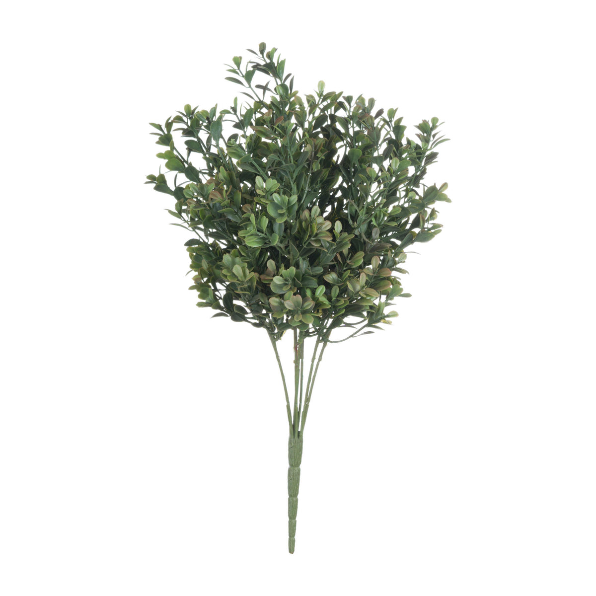 Red Tipped Leaf Spray – alternate view 4
