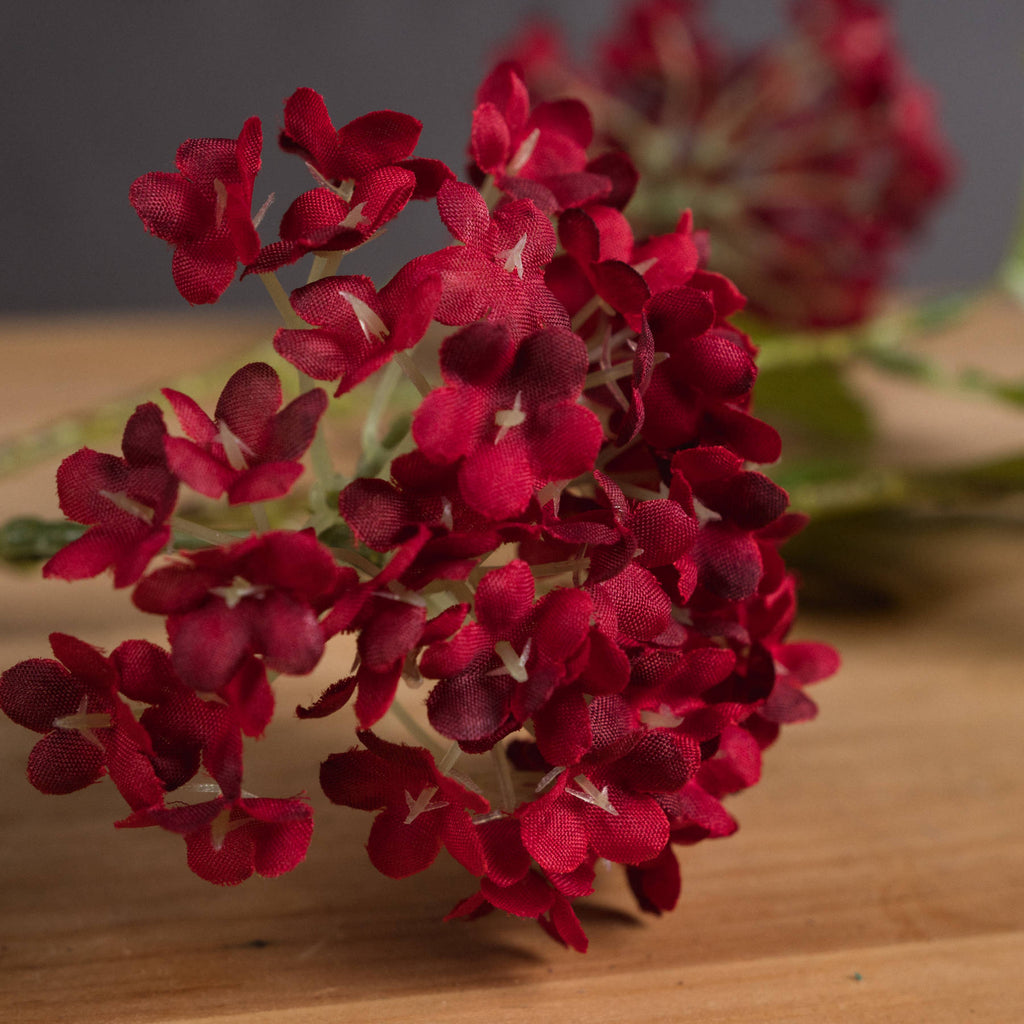 Red Autumnal Viburnum – alternate view 3