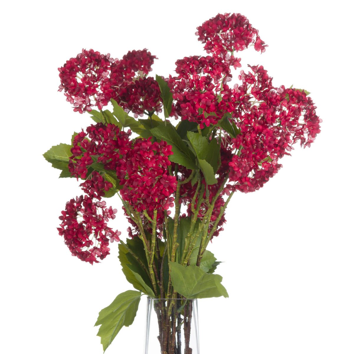 Red Autumnal Viburnum – alternate view 4