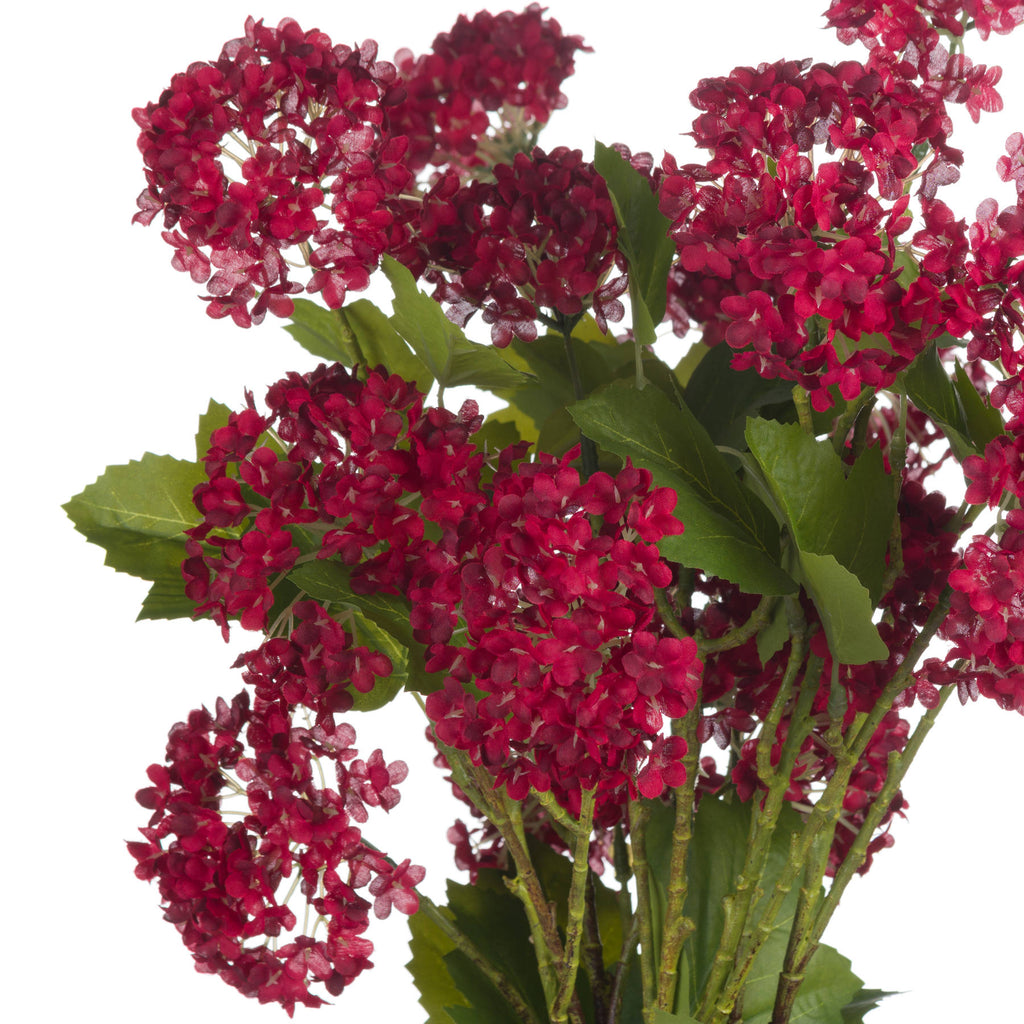 Red Autumnal Viburnum – alternate view 5