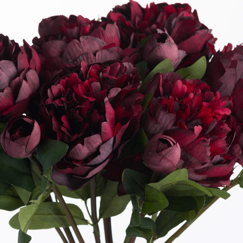 Burgundy Peony Rose – alternate view 5