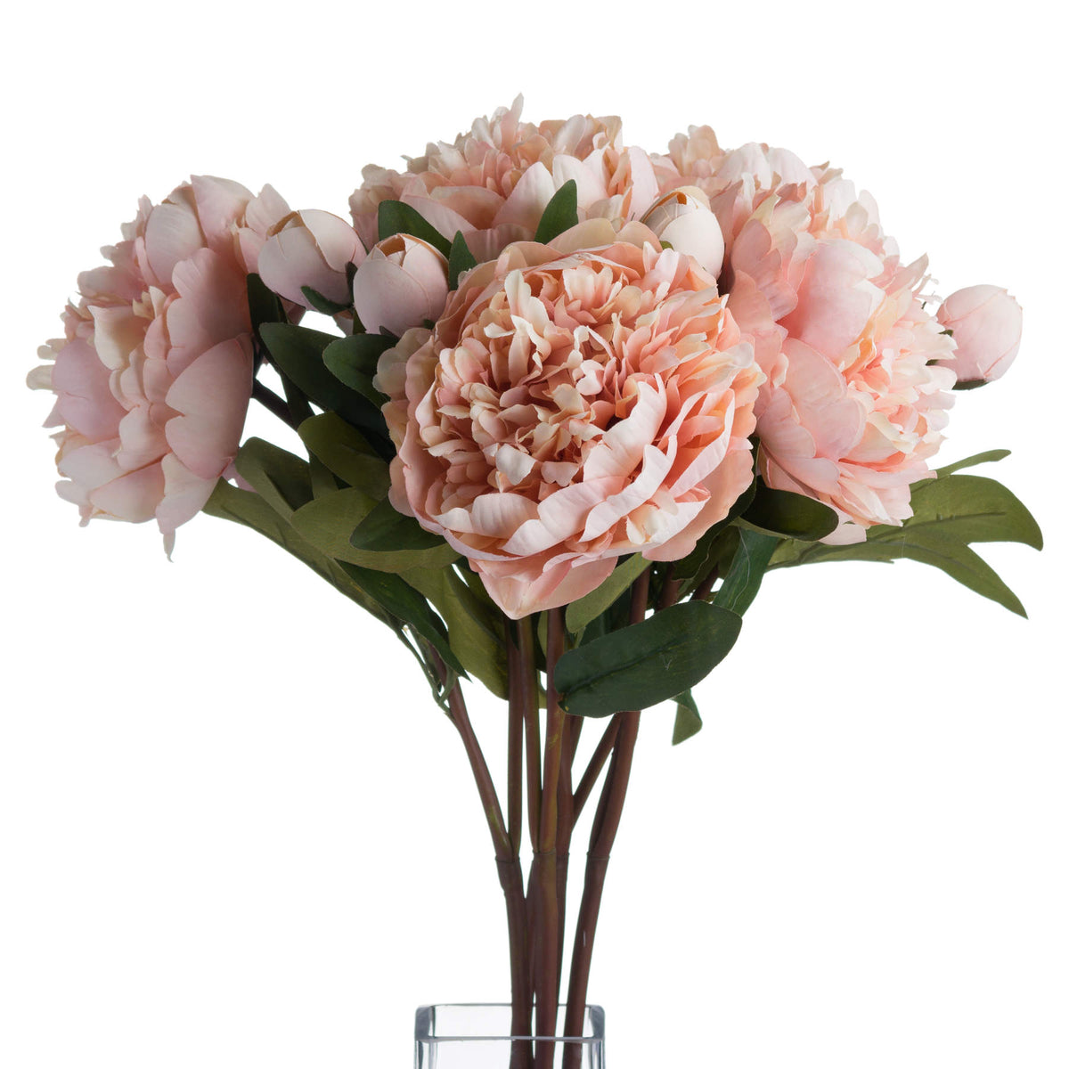 Peach Peony Rose – alternate view 3