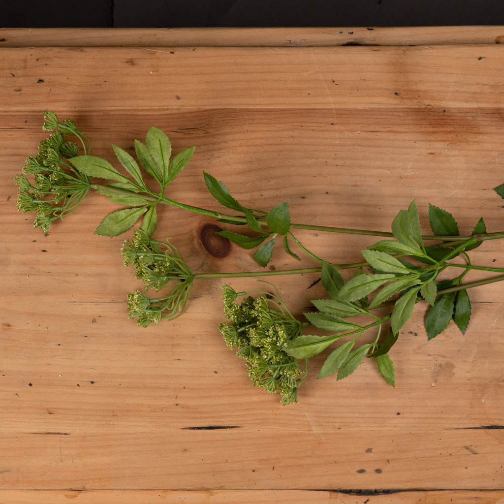 Faux Cow Parsley Ammi – alternate view 2
