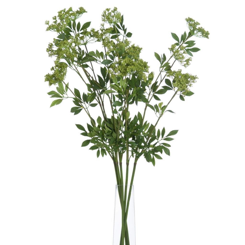 Faux Cow Parsley Ammi – alternate view 3
