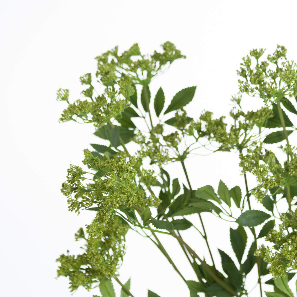 Faux Cow Parsley Ammi – alternate view 5