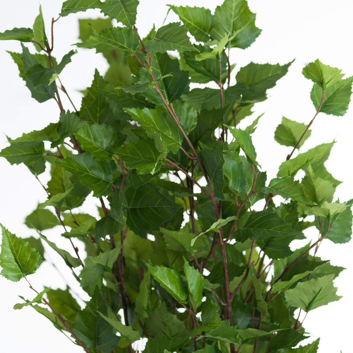 Green Branch Spray – alternate view 5