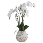 White Orchid In Stone Pot – alternate view 2