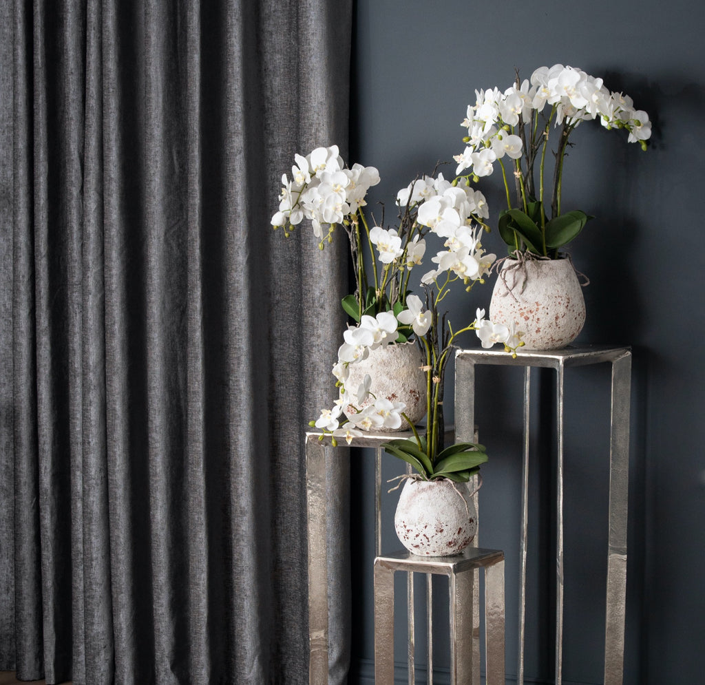 White Orchid In Stone Pot – alternate view 4