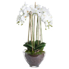 Large White Orchid In Glass Pot – alternate view 2