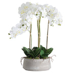 Large White Orchid In Stone Pot – alternate view 2