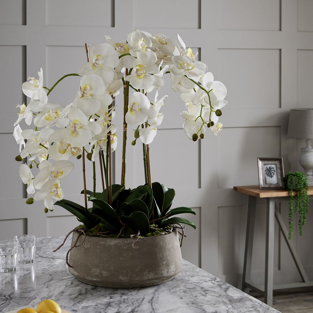 Large White Orchid In Stone Pot – alternate view 4