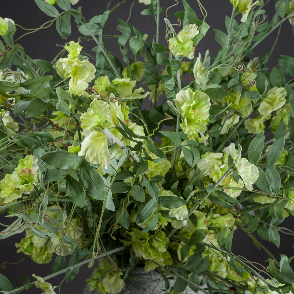 Sweet Pea Trail – alternate view 2