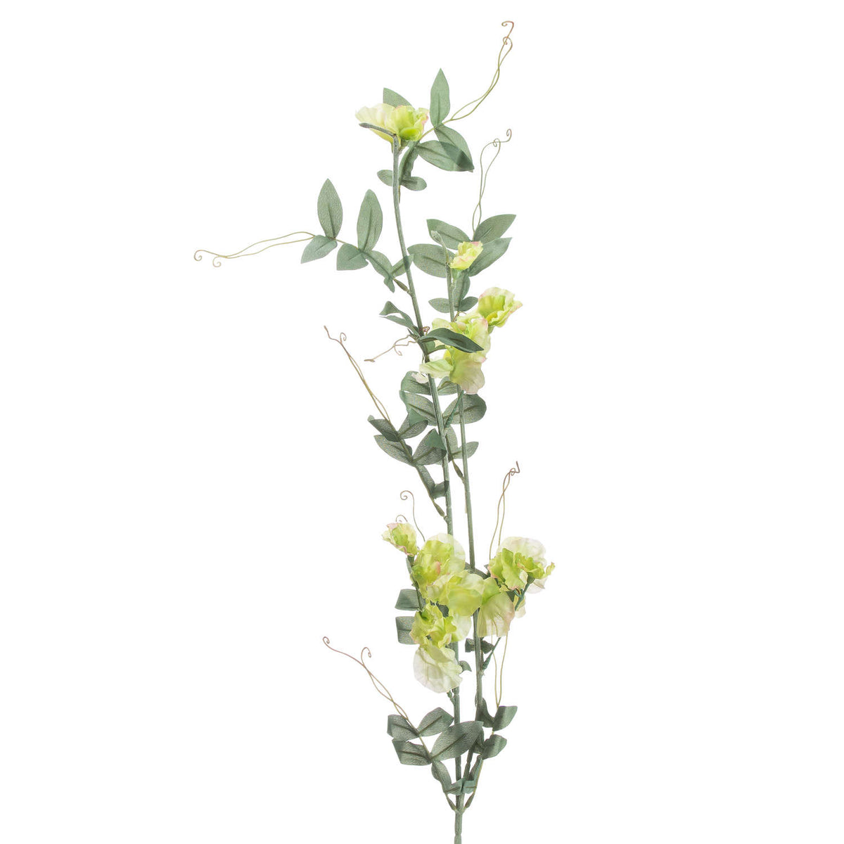 Sweet Pea Trail – alternate view 3