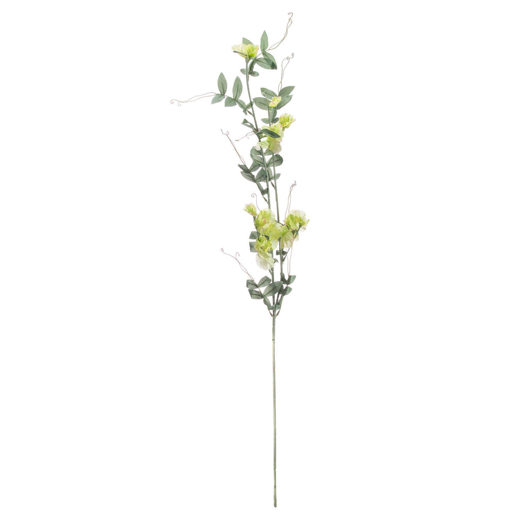 Sweet Pea Trail – alternate view 4