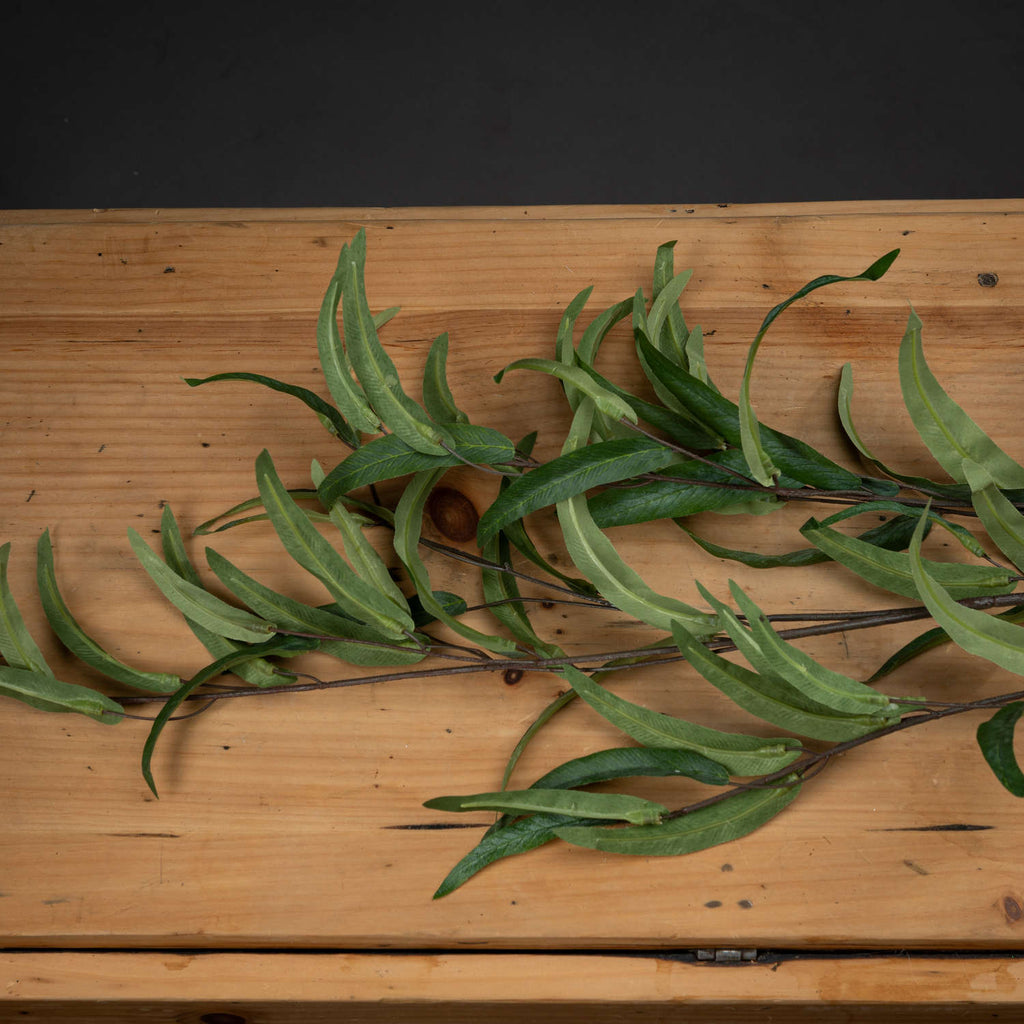 Eucalyptus Nicholii Spray – alternate view 2