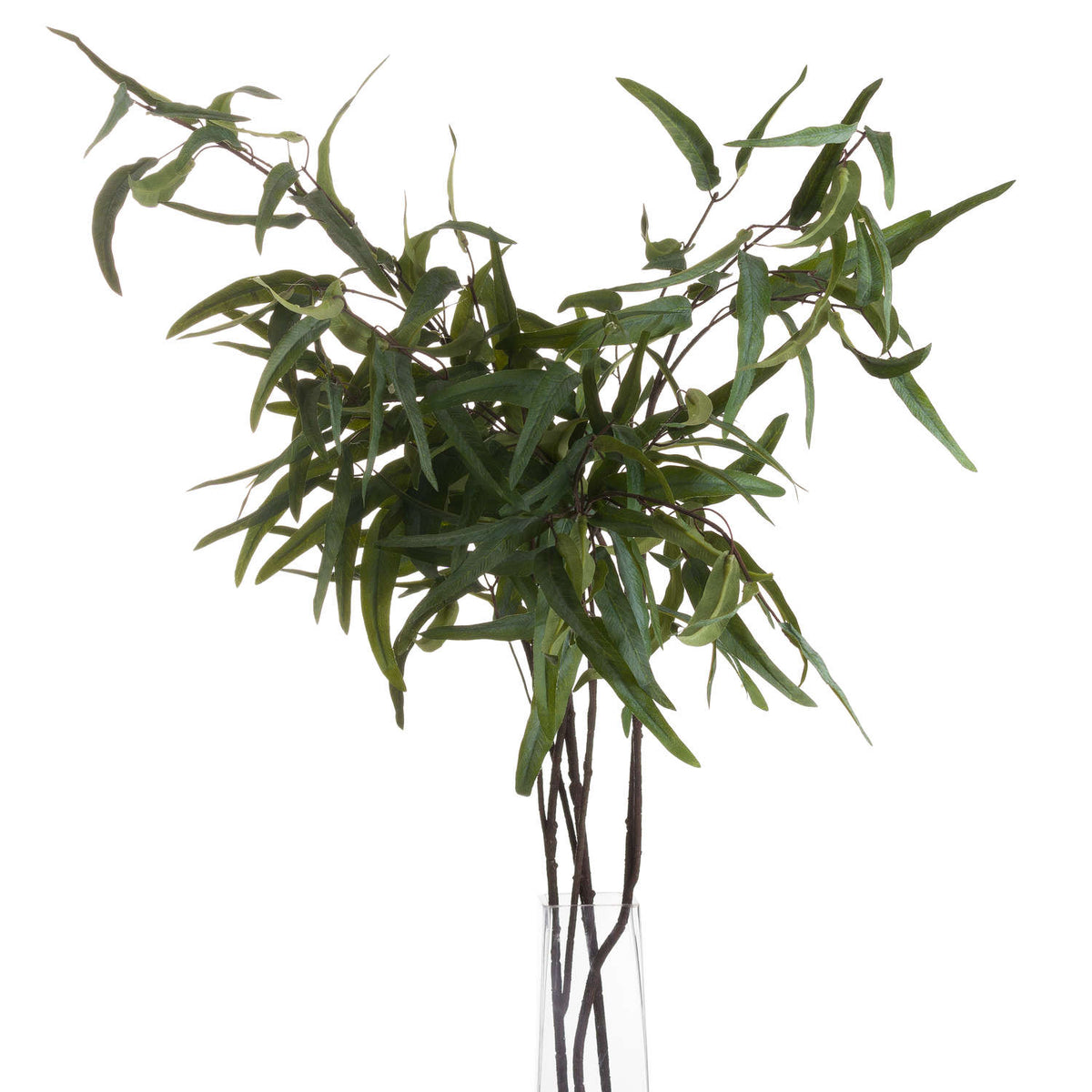Eucalyptus Nicholii Spray – alternate view 3