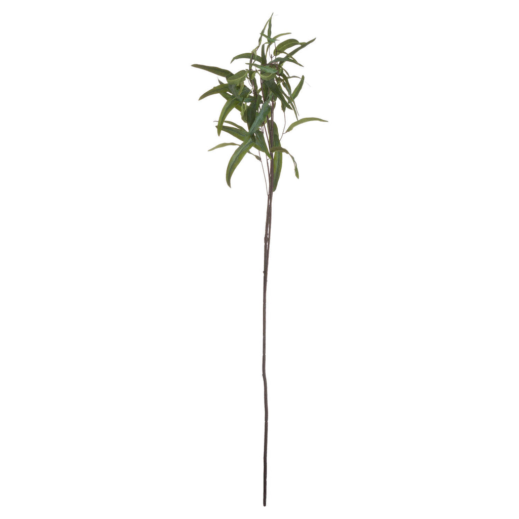 Eucalyptus Nicholii Spray – alternate view 5